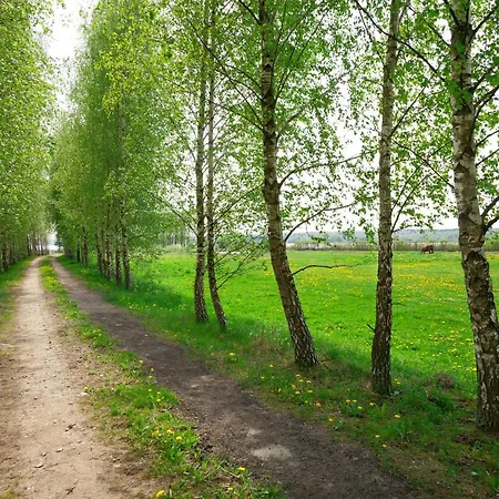 Nad Plaskim Gospodarstwo agroturystyczne Jerzwald