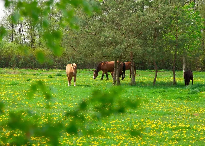 Farm stay Nad Plaskim *