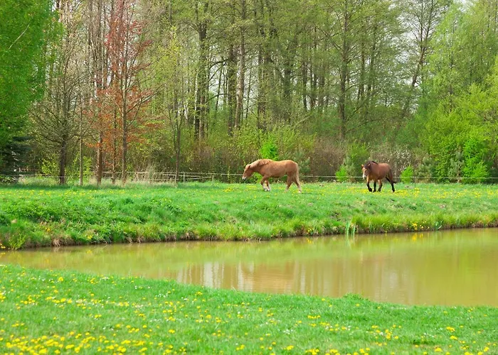 Nad Plaskim * Jerzwald